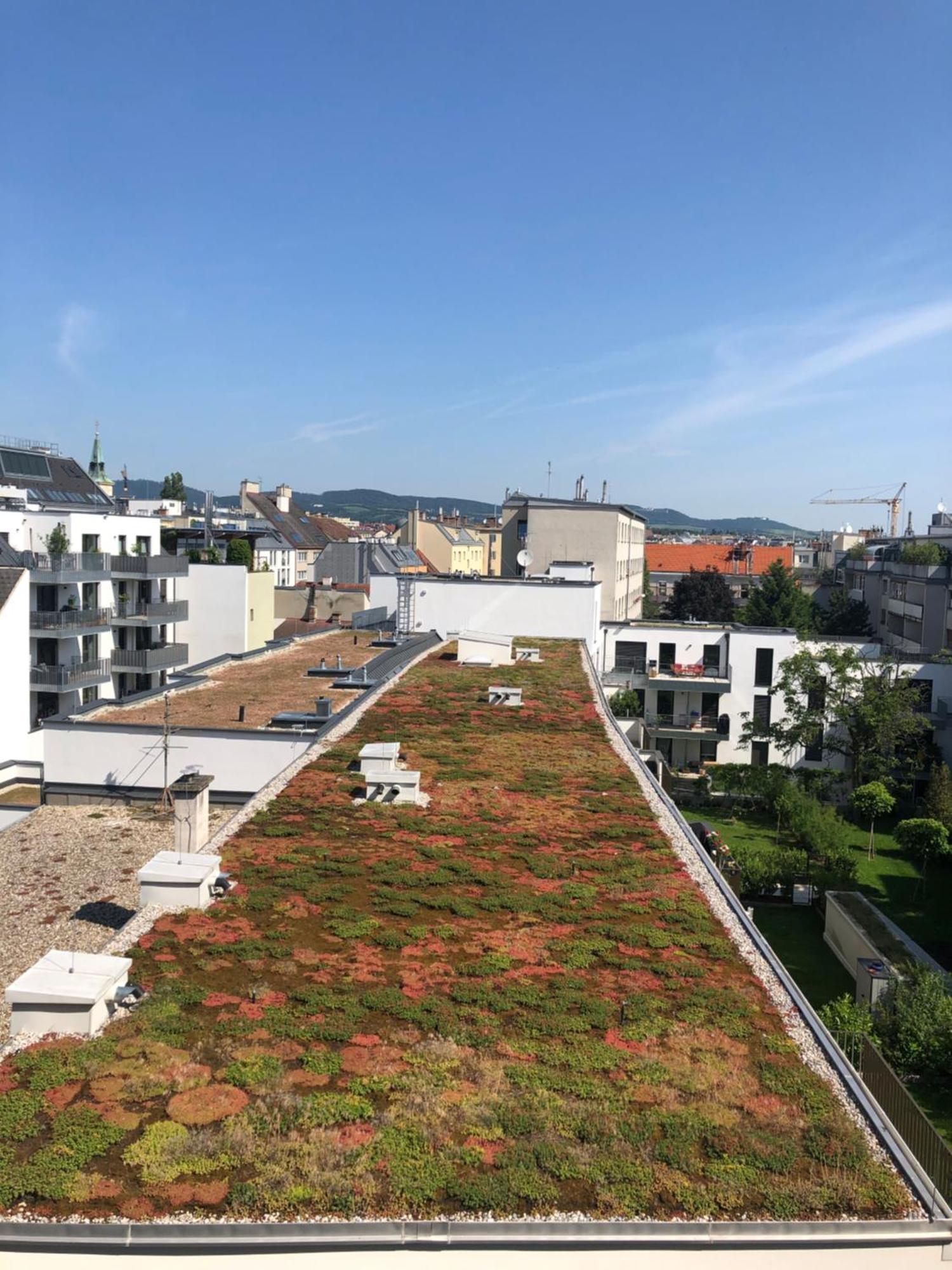 Vienna Sunny Side Up Apartments Екстер'єр фото